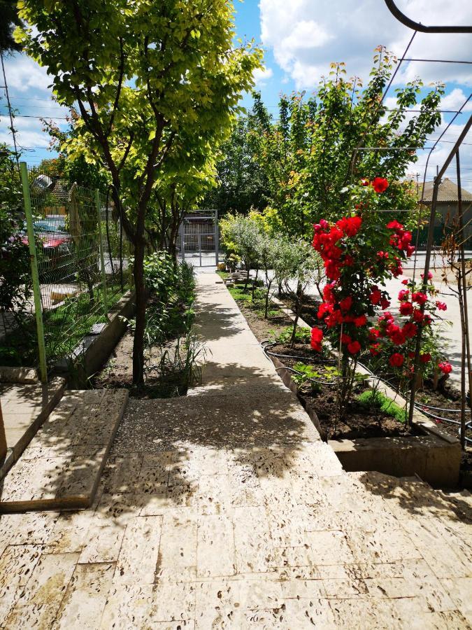 Brize Guest House توزلا المظهر الخارجي الصورة